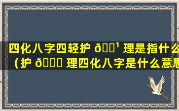 四化八字四轻护 🌹 理是指什么（护 🐛 理四化八字是什么意思）